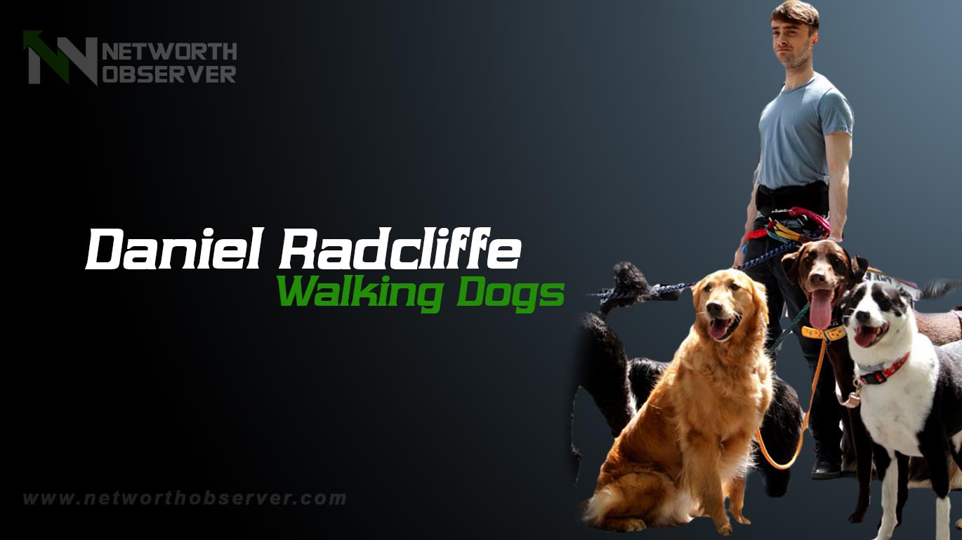 Photo of Daniel Radcliffe Walking Dogs